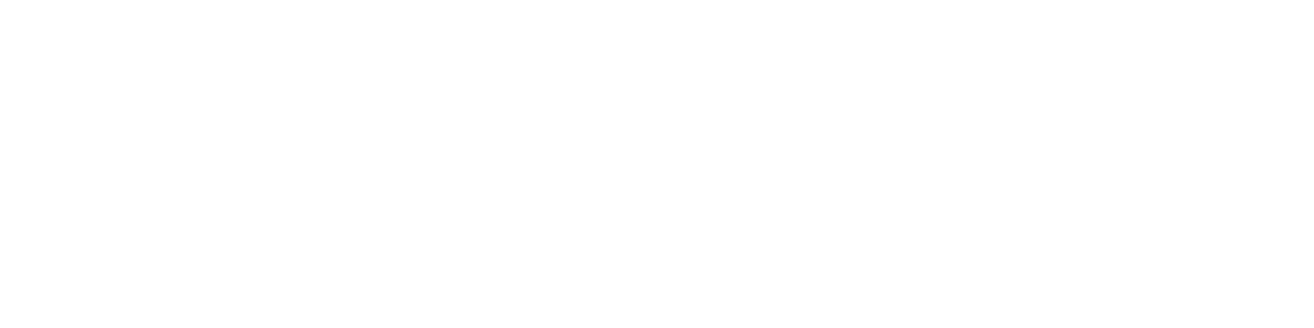 SWANK Muebles + Decor